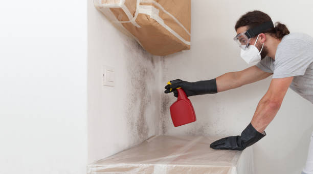Professional Mold Removal technician working in Callao, VA